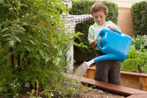 Student watering the garden at St Francis Xavier's Catholic Primary School Lurnea