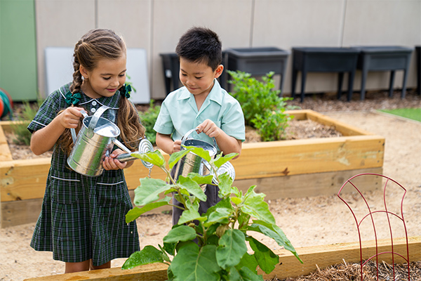 01-Lurnea-STFXPS-2026-Co-curricular-gardening
